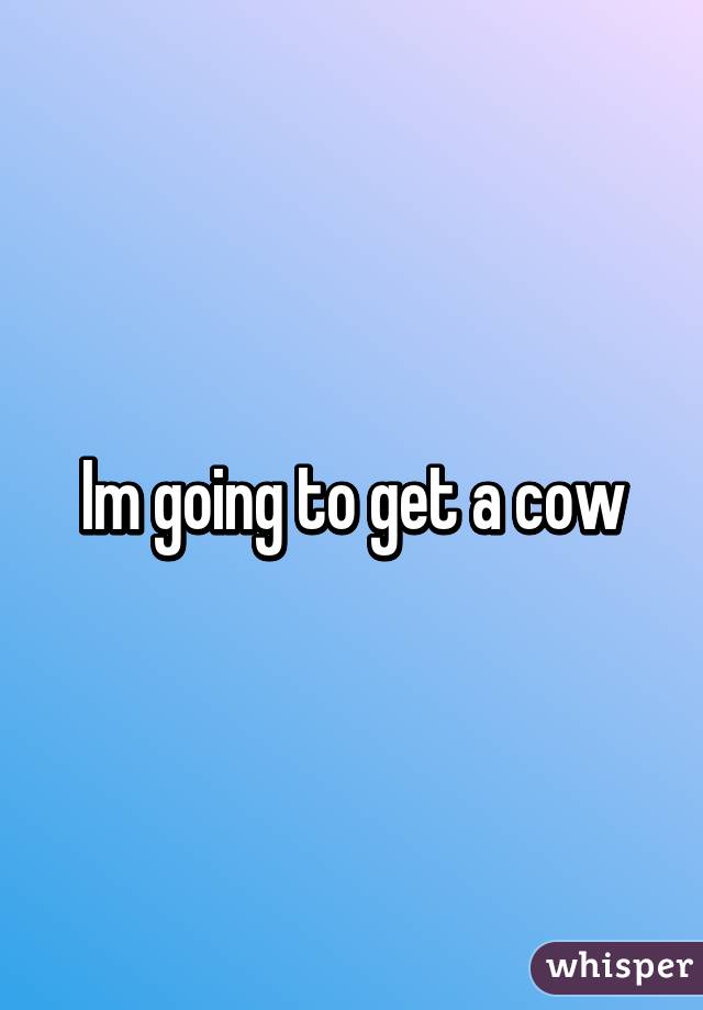 Im going to get a cow