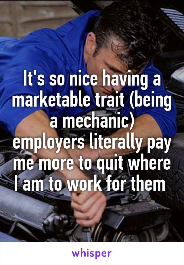 It's so nice having a marketable trait (being a mechanic) employers literally pay me more to quit where I am to work for them 