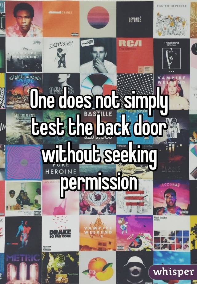 One does not simply test the back door without seeking permission