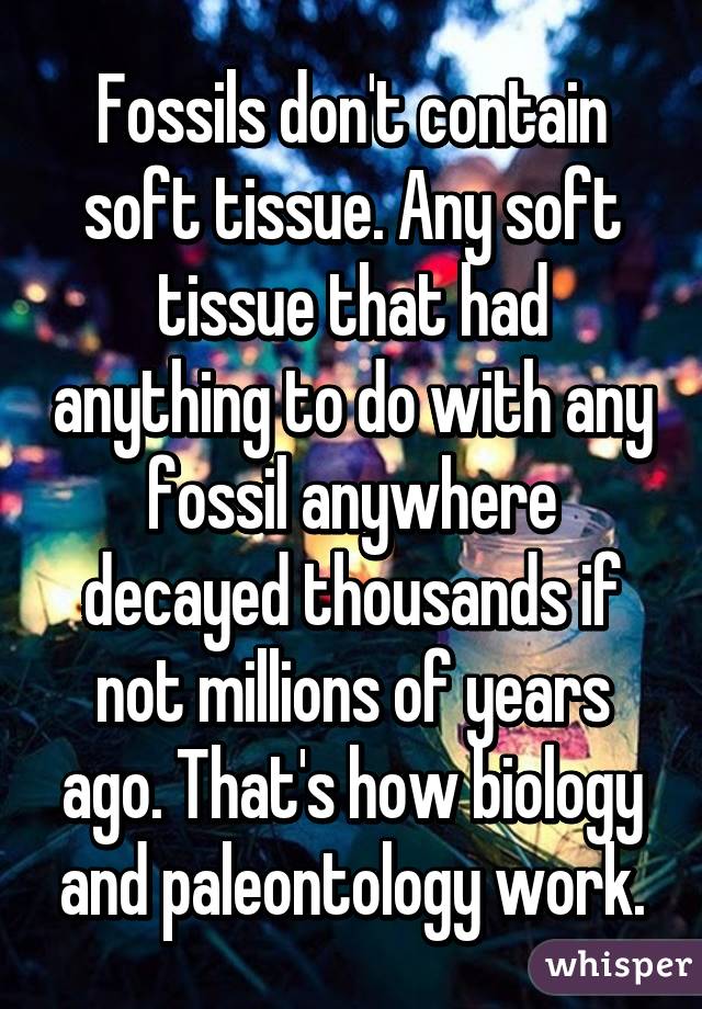 Fossils don't contain soft tissue. Any soft tissue that had anything to do with any fossil anywhere decayed thousands if not millions of years ago. That's how biology and paleontology work.