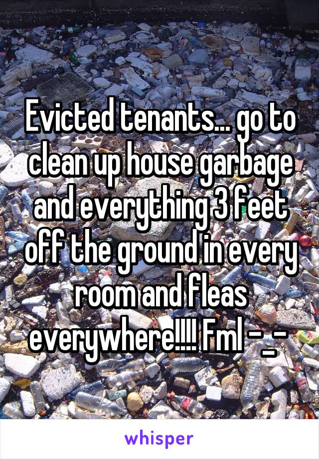 Evicted tenants... go to clean up house garbage and everything 3 feet off the ground in every room and fleas everywhere!!!! Fml -_- 