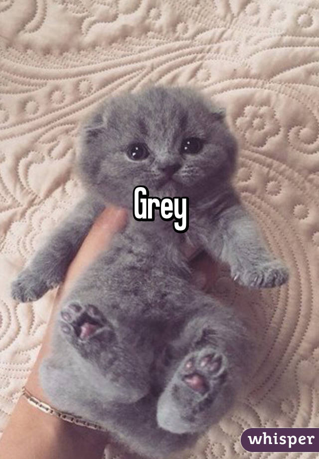 Grey
