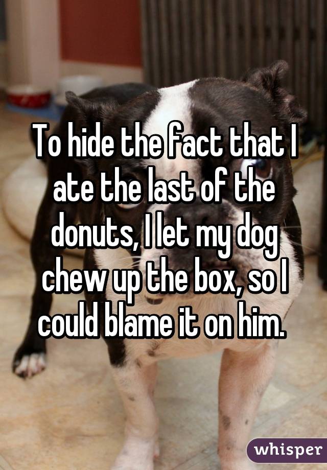 To hide the fact that I ate the last of the donuts, I let my dog chew up the box, so I could blame it on him. 