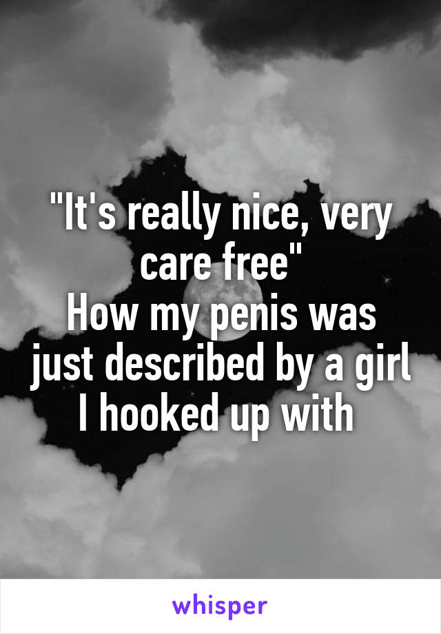 "It's really nice, very care free"
How my penis was just described by a girl I hooked up with 