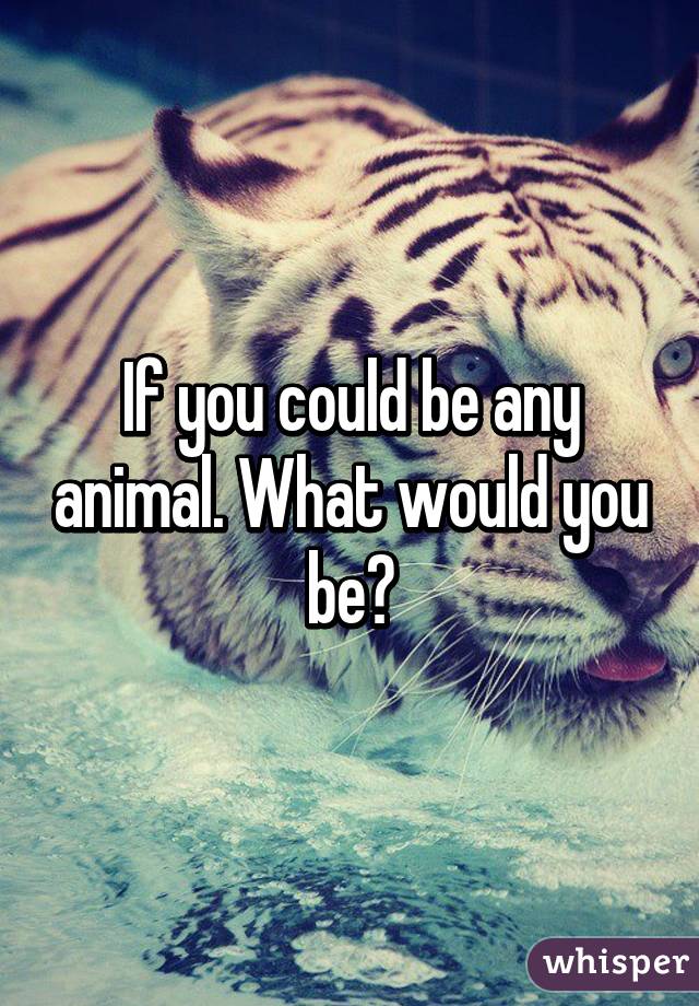 If you could be any animal. What would you be?