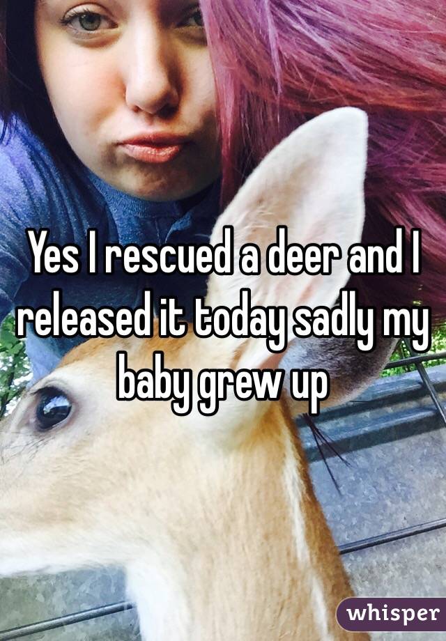 Yes I rescued a deer and I released it today sadly my baby grew up