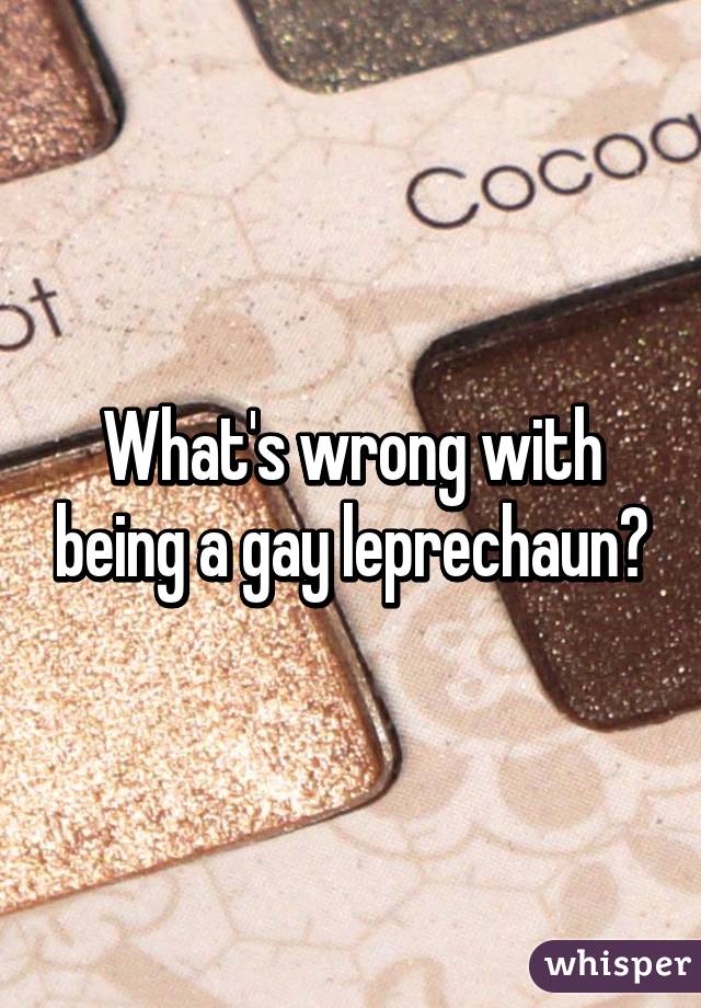 What's wrong with being a gay leprechaun?