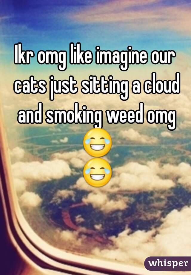 Ikr omg like imagine our cats just sitting a cloud and smoking weed omg 😂 😂 
