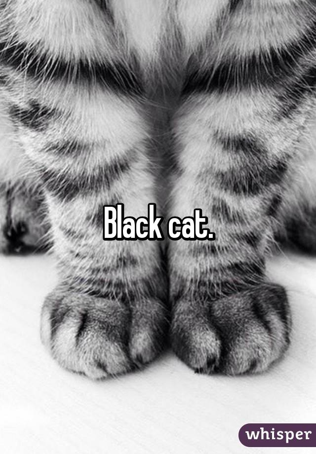 Black cat.