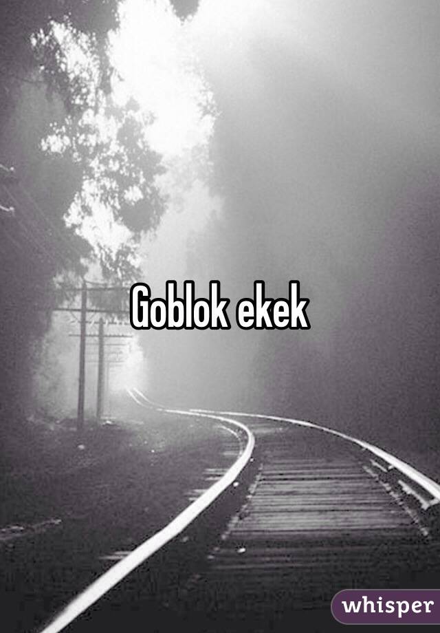 Goblok ekek