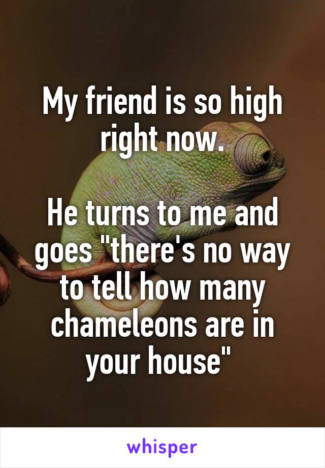 My friend is so high right now.

He turns to me and goes "there's no way to tell how many chameleons are in your house" 