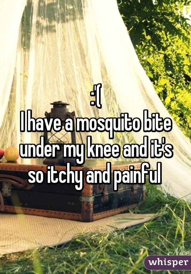 :'(
I have a mosquito bite under my knee and it's so itchy and painful 