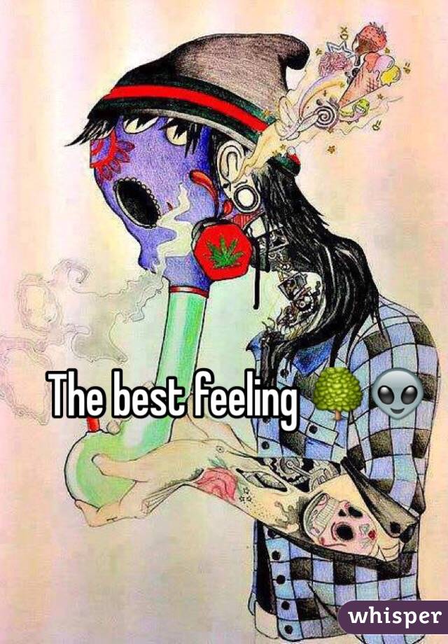 The best feeling 🌳👽