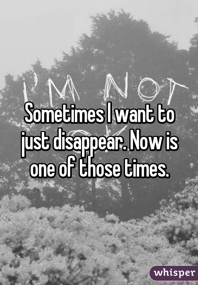 Sometimes I want to just disappear. Now is one of those times.