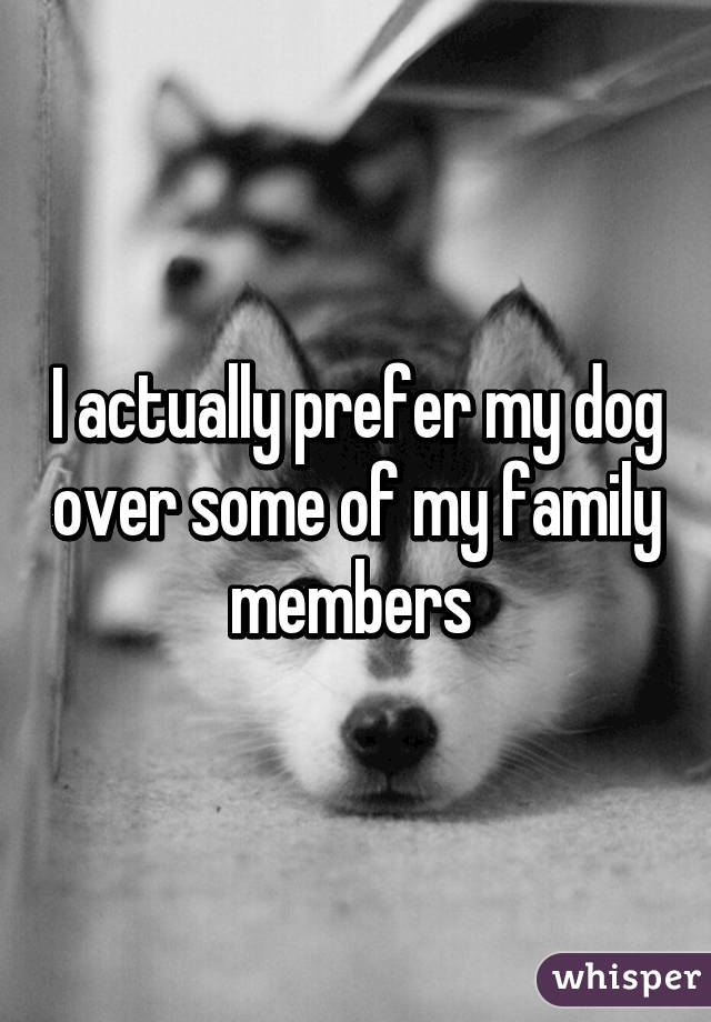 I actually prefer my dog over some of my family members 
