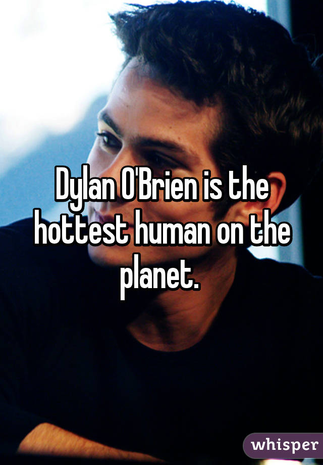 Dylan O'Brien is the hottest human on the planet. 