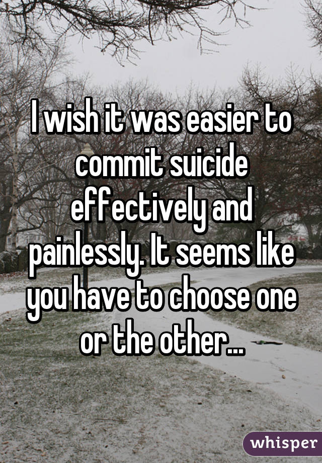 I wish it was easier to commit suicide effectively and painlessly. It seems like you have to choose one or the other...