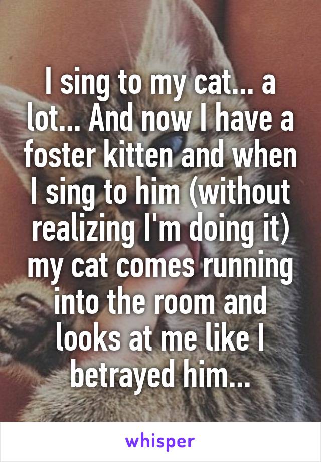 I sing to my cat... a lot... And now I have a foster kitten and when I sing to him (without realizing I'm doing it) my cat comes running into the room and looks at me like I betrayed him...