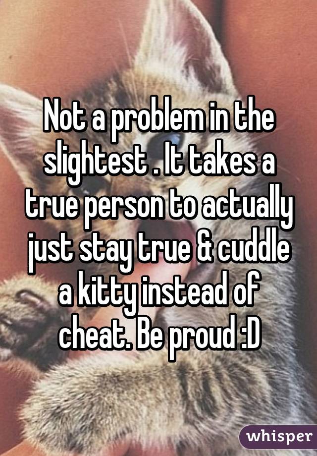 Not a problem in the slightest . It takes a true person to actually just stay true & cuddle a kitty instead of cheat. Be proud :D