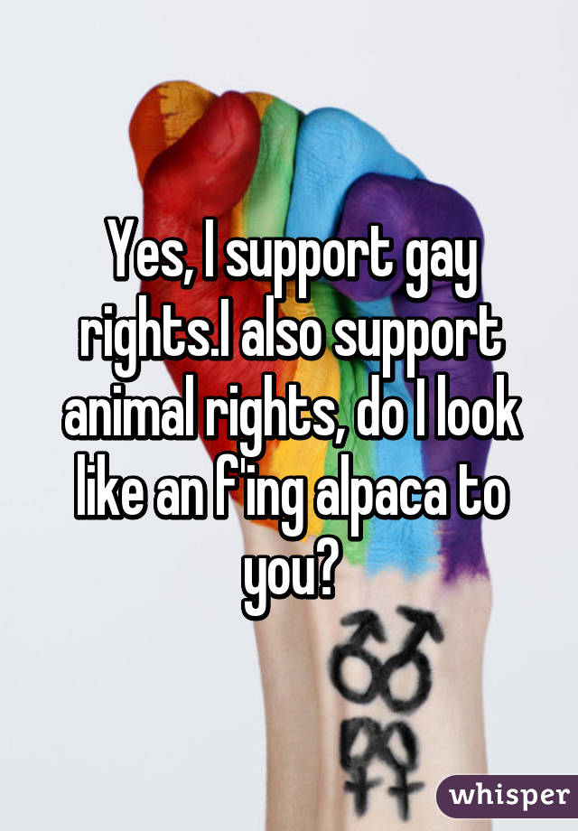 Yes, I support gay rights.I also support animal rights, do I look like an f'ing alpaca to you?