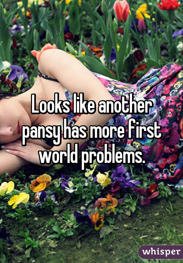 Looks like another pansy has more first world problems.