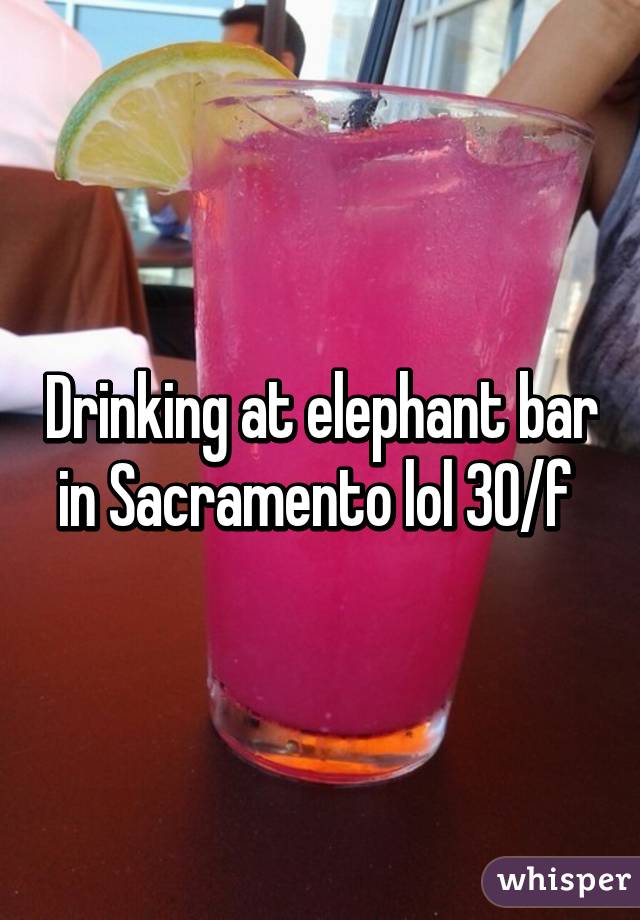 Drinking at elephant bar in Sacramento lol 30/f 