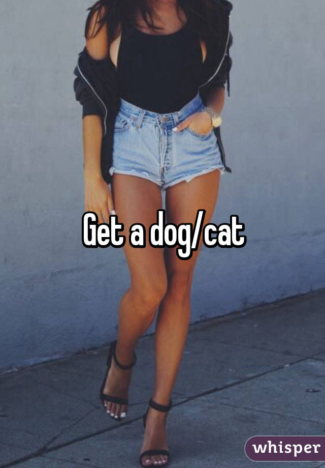 Get a dog/cat