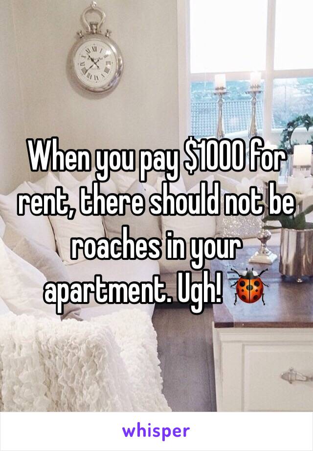 When you pay $1000 for rent, there should not be roaches in your apartment. Ugh! 🐞