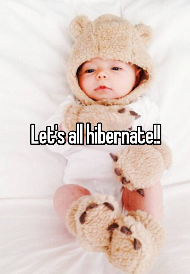 let-s-all-hibernate