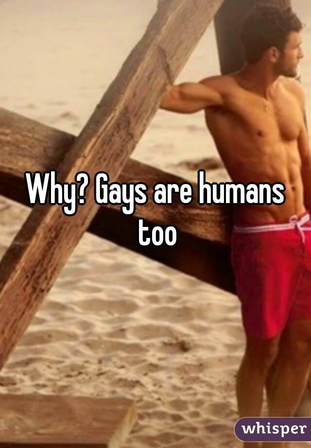 Why? Gays are humans too