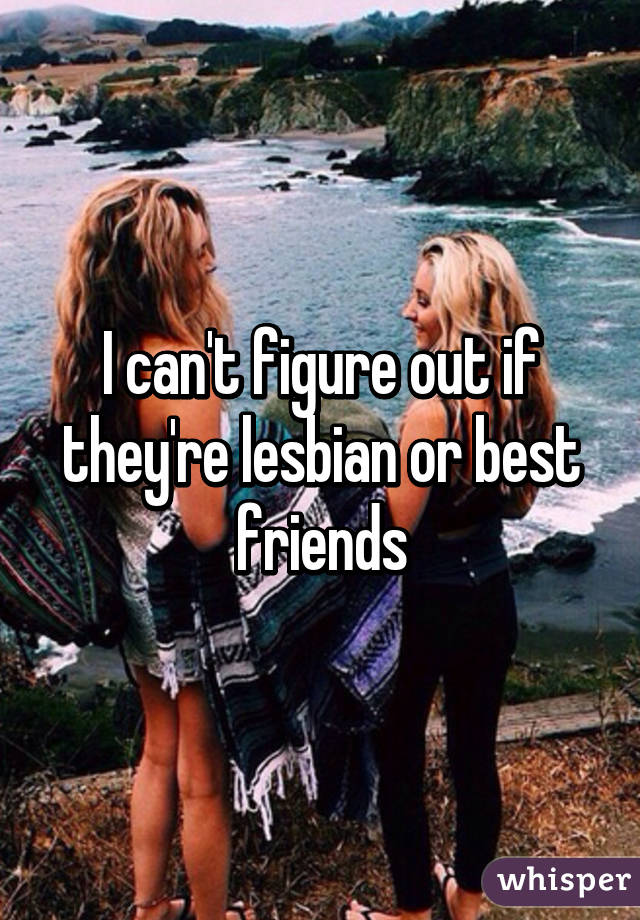 I can't figure out if they're lesbian or best friends