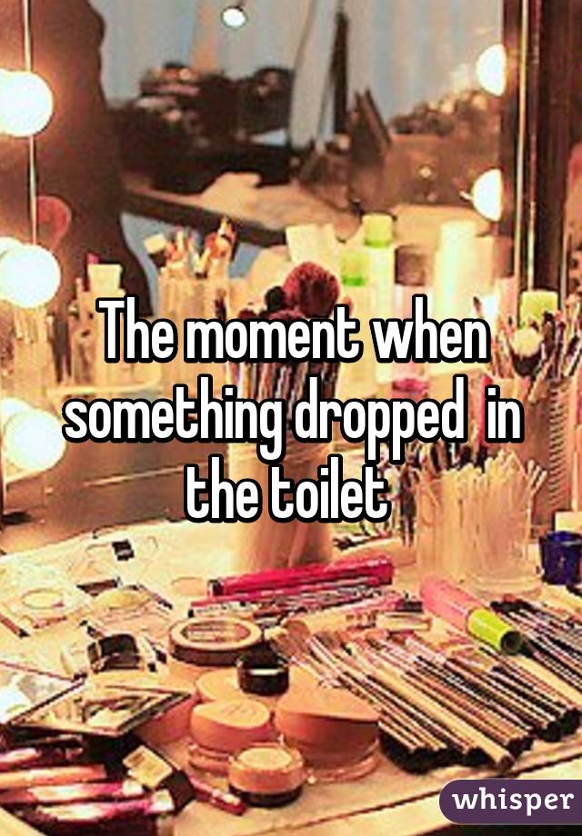 The moment when something dropped  in the toilet 