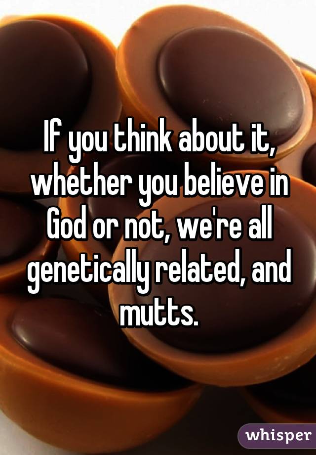 If you think about it, whether you believe in God or not, we're all genetically related, and mutts.