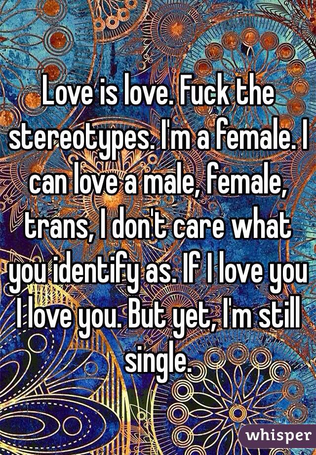 Love is love. Fuck the stereotypes. I'm a female. I can love a male, female, trans, I don't care what you identify as. If I love you I love you. But yet, I'm still single. 