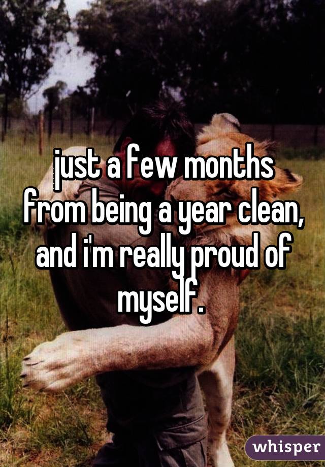 just a few months from being a year clean, and i'm really proud of myself. 