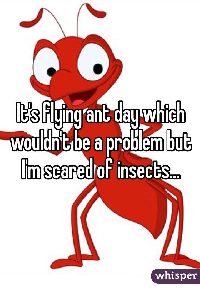 It's flying ant day which wouldn't be a problem but 
I'm scared of insects...