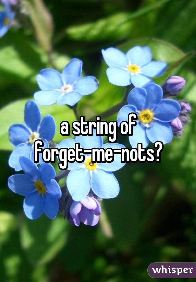 a string of forget-me-nots?