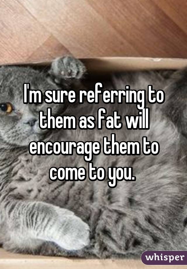 I'm sure referring to them as fat will encourage them to come to you. 