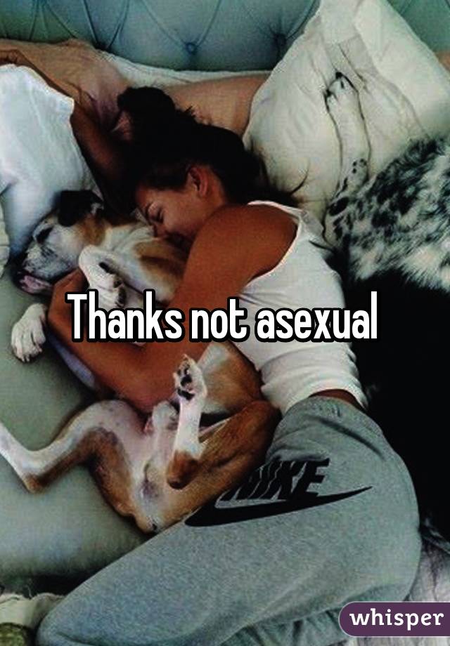 Thanks not asexual 