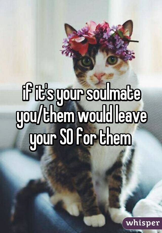 if it's your soulmate you/them would leave your SO for them 