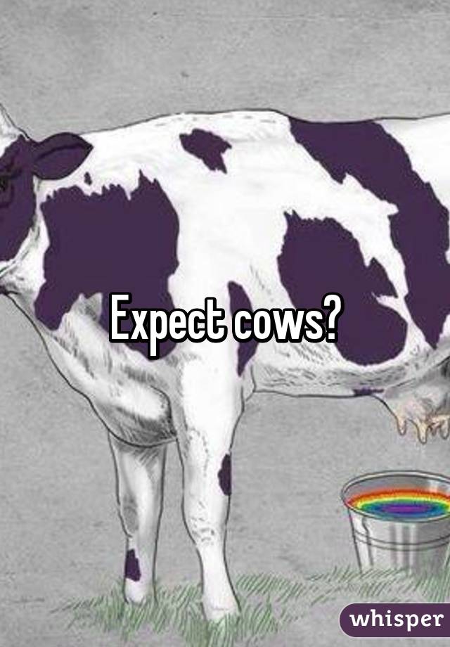 Expect cows?