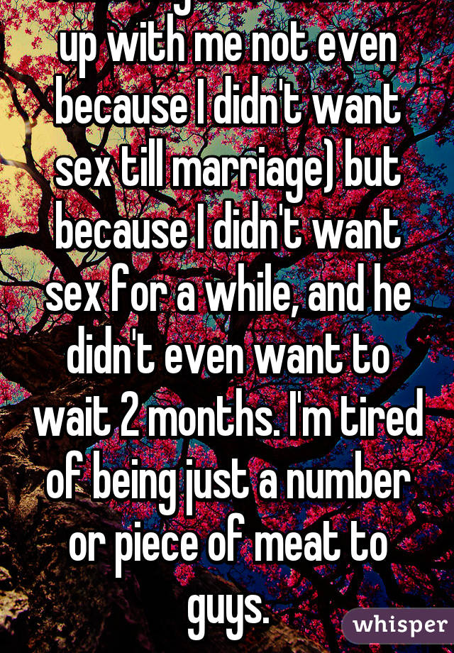 Same. My last ex broke up with me not even because I didn't want sex till marriage) but because I didn't want sex for a while, and he didn't even want to wait 2 months. I'm tired of being just a number or piece of meat to guys.
