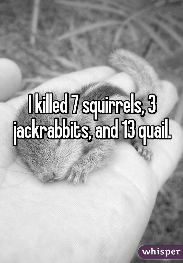 I killed 7 squirrels, 3 jackrabbits, and 13 quail. 