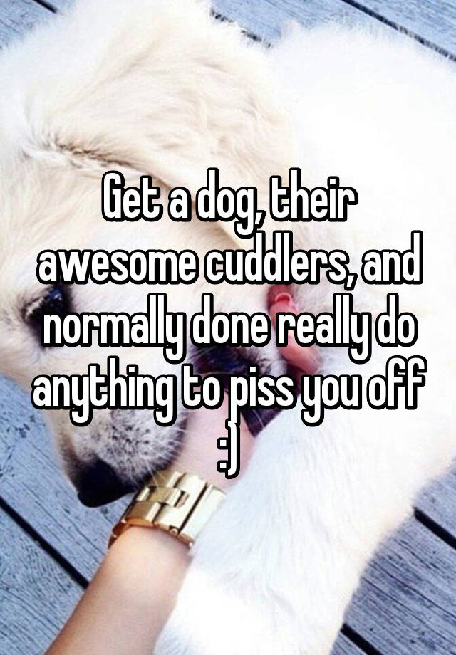 get-a-dog-their-awesome-cuddlers-and-normally-done-really-do-anything