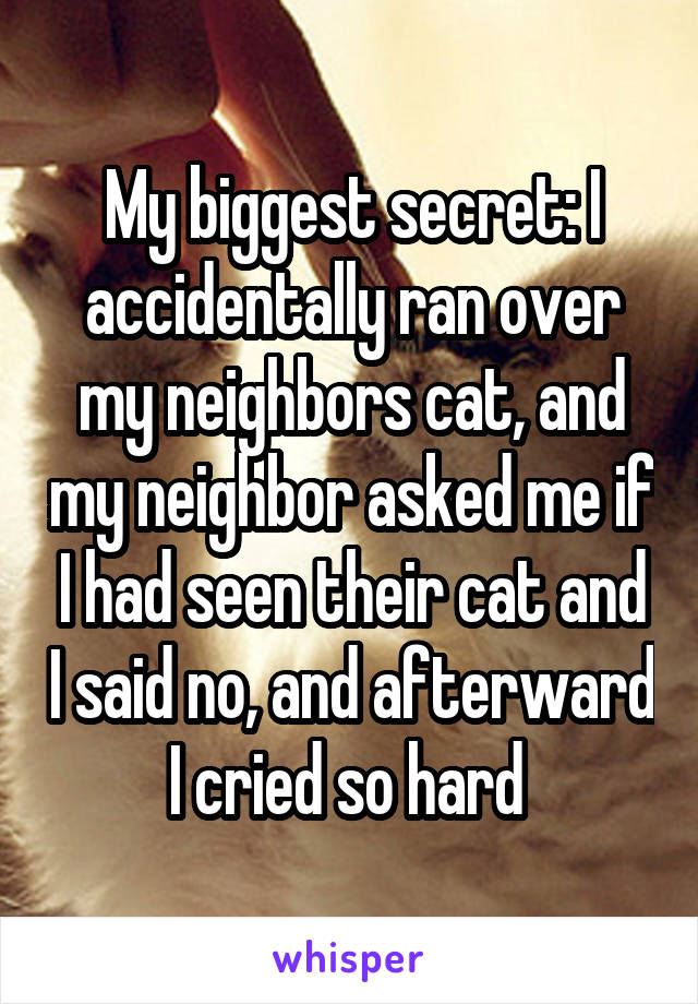 My biggest secret: I accidentally ran over my neighbors cat, and my neighbor asked me if I had seen their cat and I said no, and afterward I cried so hard 