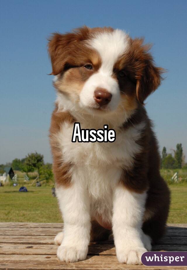 Aussie 