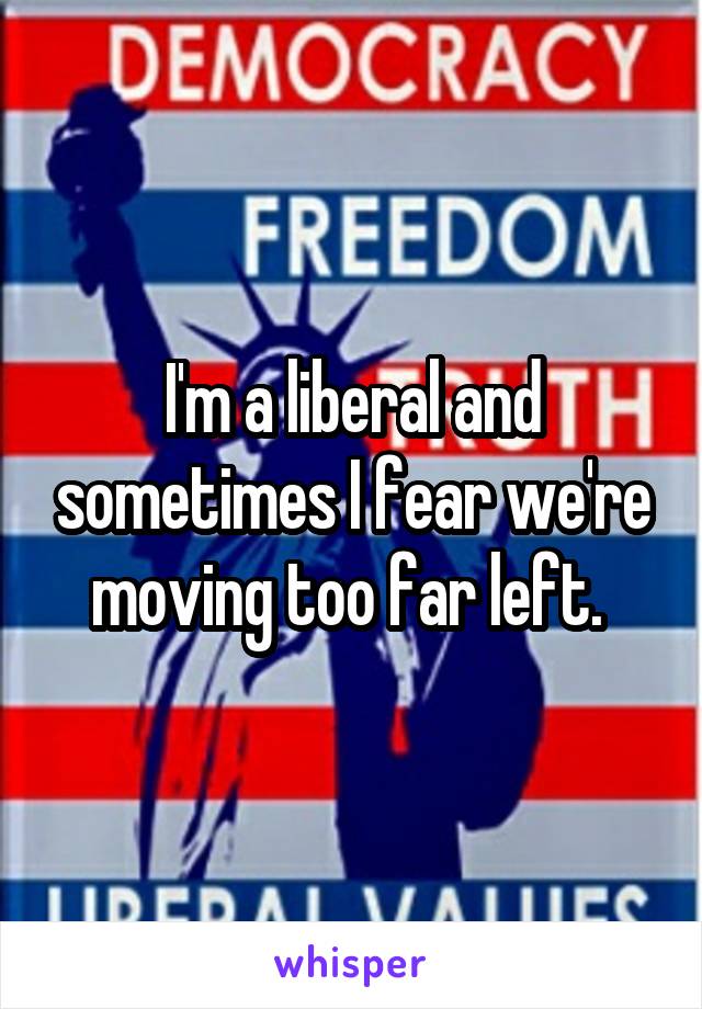 I'm a liberal and sometimes I fear we're moving too far left. 
