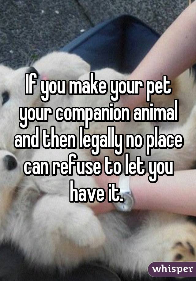If you make your pet your companion animal and then legally no place can refuse to let you have it. 