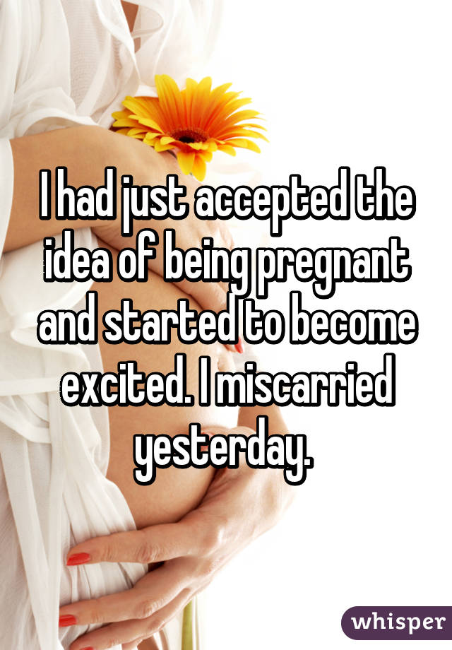 I had just accepted the idea of being pregnant and started to become excited. I miscarried yesterday. 