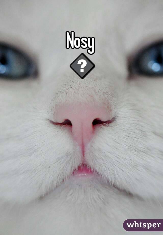 Nosy 👃